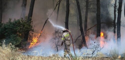 Φωτιές: Συνεχίζουν να επιχειρούν δυνάμεις της Πυροσβεστικής σε Γορτυνία, Αρχαία Ολυμπία και Ανατολική Μάνη