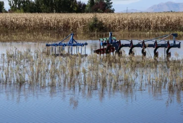 Πιστώνονται 38 εκατ. ευρώ από τον ΕΛΓΑ σε 12.195 πληγέντες για ζημιές 2024