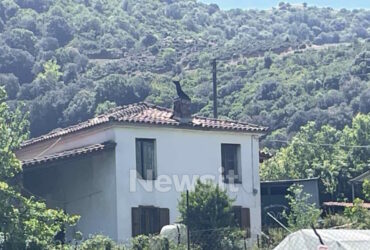 Αμφιλοχία: «Δεν υπήρχε νομική δυνατότητα σύλληψης του 67χρονου» λέει η αστυνομία «καρφώνοντας» την εισαγγελία