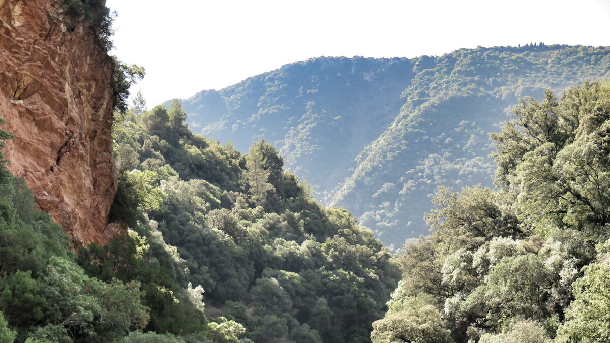 Μεσσηνία: Πατέρας και γιος έπεσαν σε χαράδρα στη Νέδα – Σε εξέλιξη επιχείρηση απεγκλωβισμού Μεσσηνία: Πατέρας και γιος έπεσαν σε χαράδρα στη Νέδα – Σε εξέλιξη επιχείρηση απεγκλωβισμού