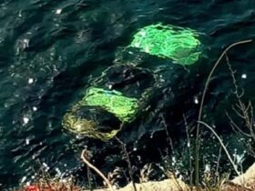 Τραγωδία στην Άνδρο: Νεκρή γυναίκα μετά από πτώση αυτοκινήτου στη θάλασσα Τραγωδία στην Άνδρο: Νεκρή γυναίκα μετά από πτώση αυτοκινήτου στη θάλασσα