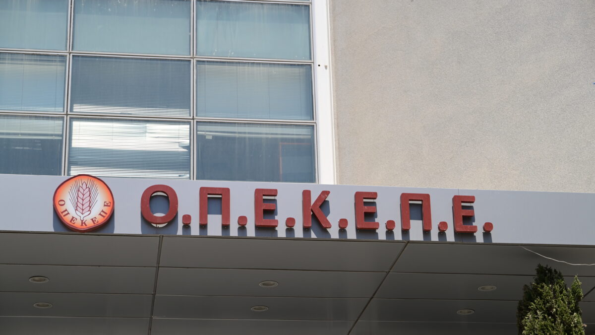 ΟΠΕΚΕΠΕ: Σαρωτική επιχείρηση της ΕΛ.ΑΣ. σε περιοχές της Βόρειας Ελλάδας ΟΠΕΚΕΠΕ: Σαρωτική επιχείρηση της ΕΛ.ΑΣ. σε περιοχές της Βόρειας Ελλάδας