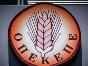 ΟΠΕΚΕΠΕ : Το σκάνδαλο που πληρώνουμε όλοι - της Ειρήνης Θεοδόση