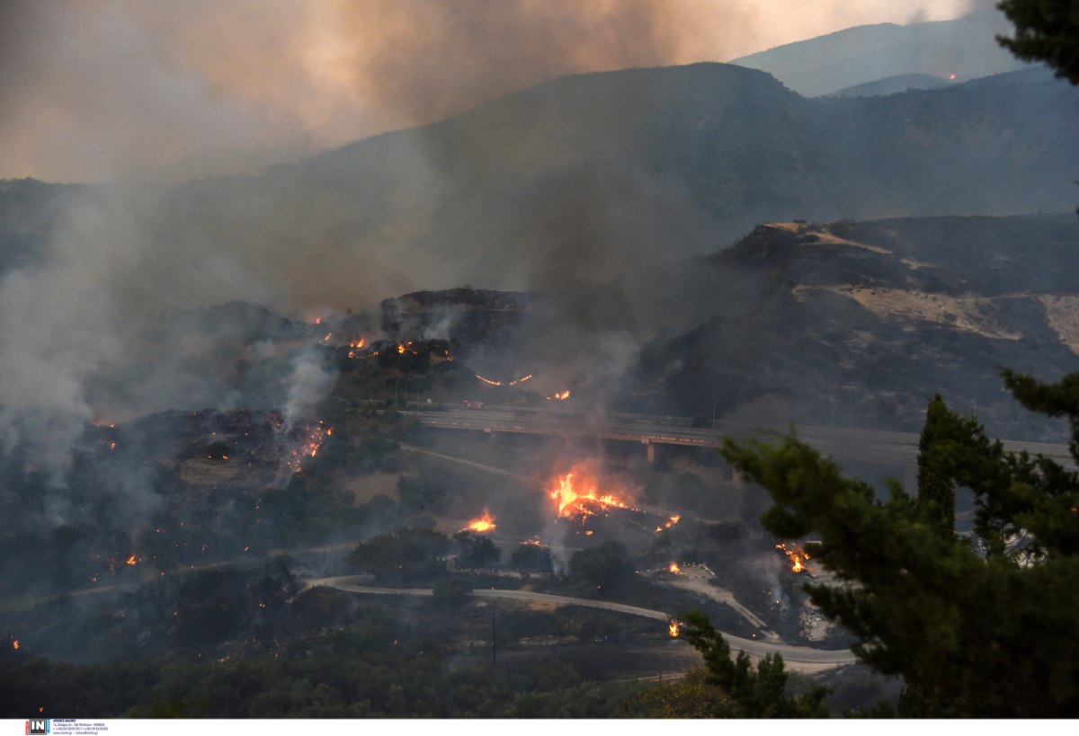 Πυρκαγιές: Καμένα πάνω από 100.000 στρέμματα σε Χίο, Ζάκυνθο, Πρέβεζα και Κάτω Αχαΐα