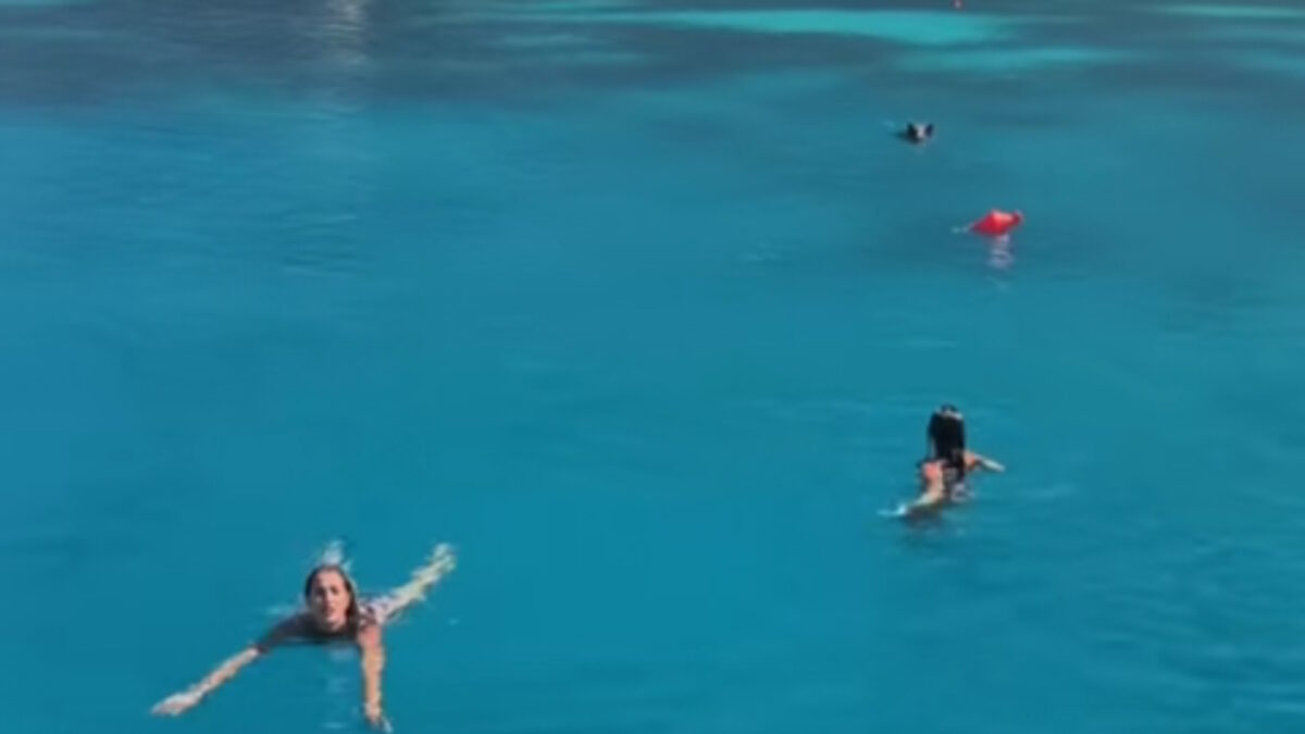 Ιθάκη: Αγριογούρουνο στην κυνήγησε τουρίστριες