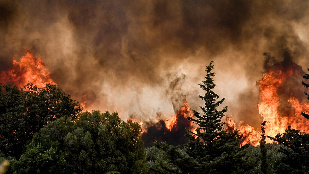 Πυρκαγιά στον Τύρναβο: Στο σημείο ισχυρές δυνάμεις της Πυροσβεστικής