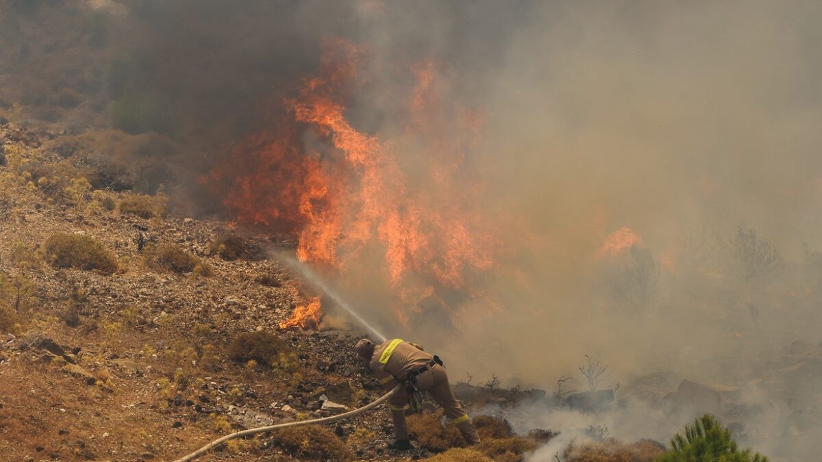 Πυρκαγιά στην Εύβοια: Καίγεται δάσος στα Μεσοχώρια – Εναέρια μέσα στη μάχη