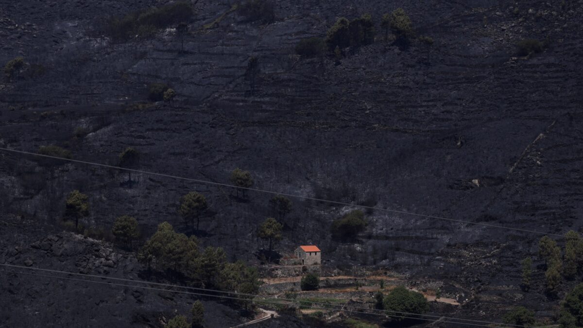 Πορτογαλία: Φωτιές κατέστρεψαν 600.000 στρέμματα – Έντονη κινητοποίηση με 1.600 πυροσβέστες