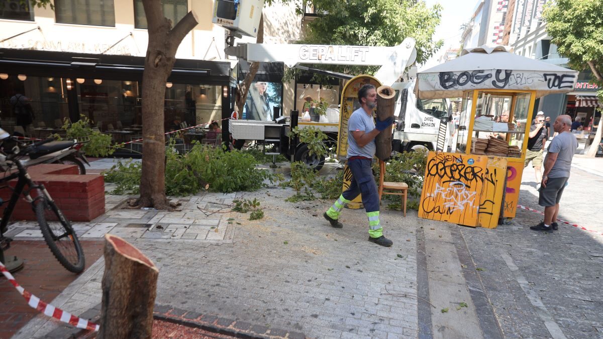 Αθήνα: Πτώση δέντρου τραυμάτισε δύο άτομα – Στο νοσοκομείο γυναίκα