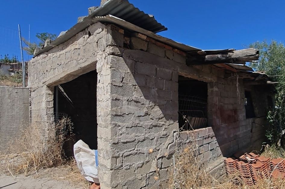 Βοιωτία: Μάρτυρας «κλειδί» στην υπόθεση της 62χρονης σπάει τη σιωπή του