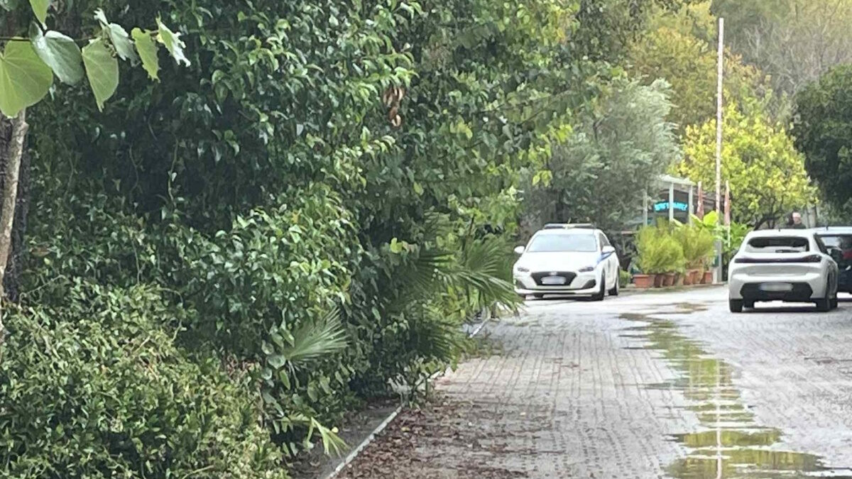 Υπόθεση κάμπινγκ στη Φοινικούντα: Ο δεύτερος άνδρας είχε ενεργό ρόλο – Στα ίχνη του η ΕΛ.ΑΣ. Υπόθεση κάμπινγκ στη Φοινικούντα: Ο δεύτερος άνδρας είχε ενεργό ρόλο – Στα ίχνη του η ΕΛ.ΑΣ.