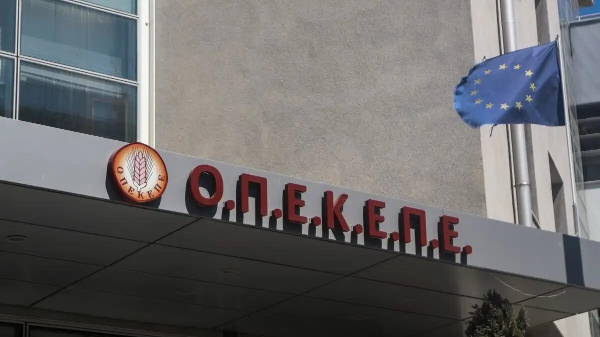 Δίκη πρώην προέδρου ΟΠΕΚΕΠΕ: «Υπάρχουν άνθρωποι που φοβούνται να μιλήσουν» καταγγέλλει η Π. Τυχεροπούλου