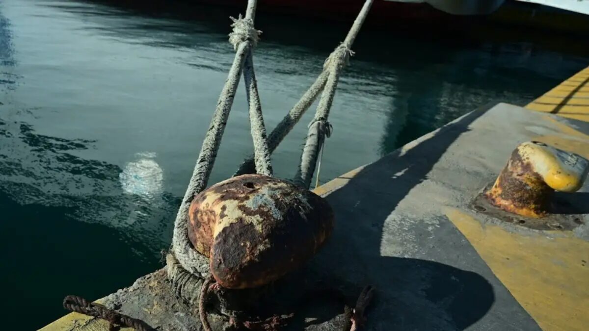 Θάσος: Καταγγελία για ΑμεΑ που ταξίδεψε στο γκαράζ πλοίου – Οργή για την έλλειψη προσβασιμότητας