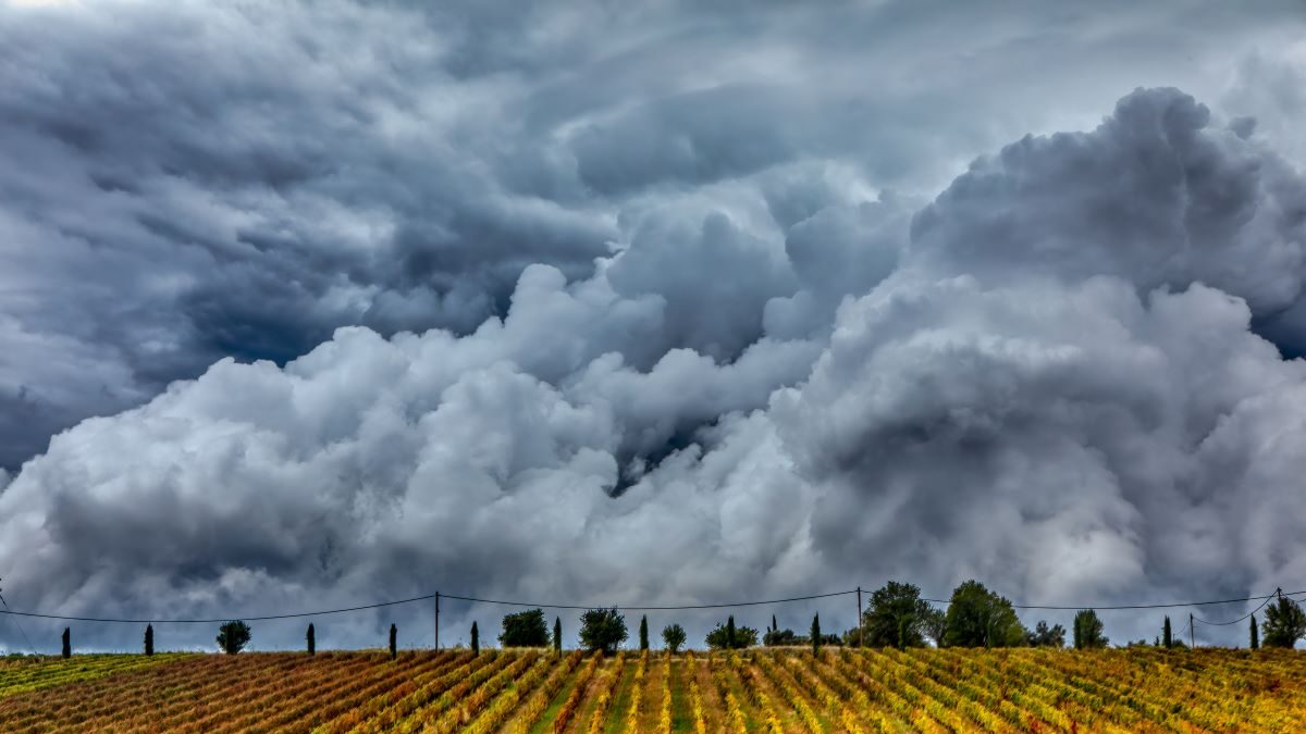 «Οργανωμένη εγκληματική ομάδα» πίσω από τις 37 συλλήψεις για τον ΟΠΕΚΕΠΕ – Τι αποκαλύπτει η Ευρωπαϊκή Εισαγγελία