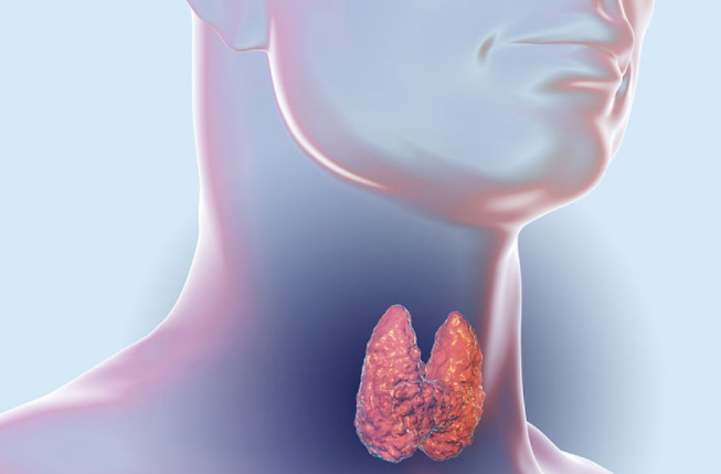 Καρκίνος θυρεοειδούς: Ποιος είναι ο ρόλος των λεμφαδένων στη διάγνωση και την πορεία της νόσου Καρκίνος θυρεοειδούς: Ποιος είναι ο ρόλος των λεμφαδένων στη διάγνωση και την πορεία της νόσου