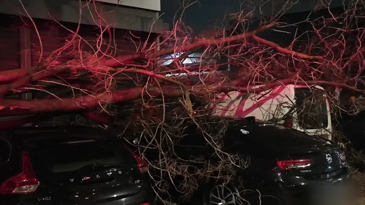 Σφοδρές καταιγίδες με χαλάζι στην Αττική – Δέντρο κατέρρευσε στην Πειραιώς καταπλακώνοντας 4 οχήματα