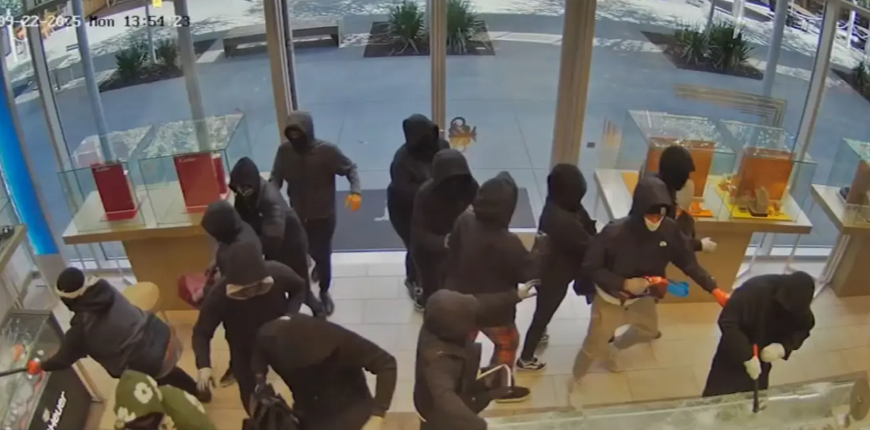 Ληστεία σε κοσμηματοπωλείο στην Καλιφόρνια: Πέντε μασκοφόροι εισέβαλαν στο Olivia’s Fine Jewelry- Δείτε video Ληστεία σε κοσμηματοπωλείο στην Καλιφόρνια: Πέντε μασκοφόροι εισέβαλαν στο Olivia’s Fine Jewelry- Δείτε video