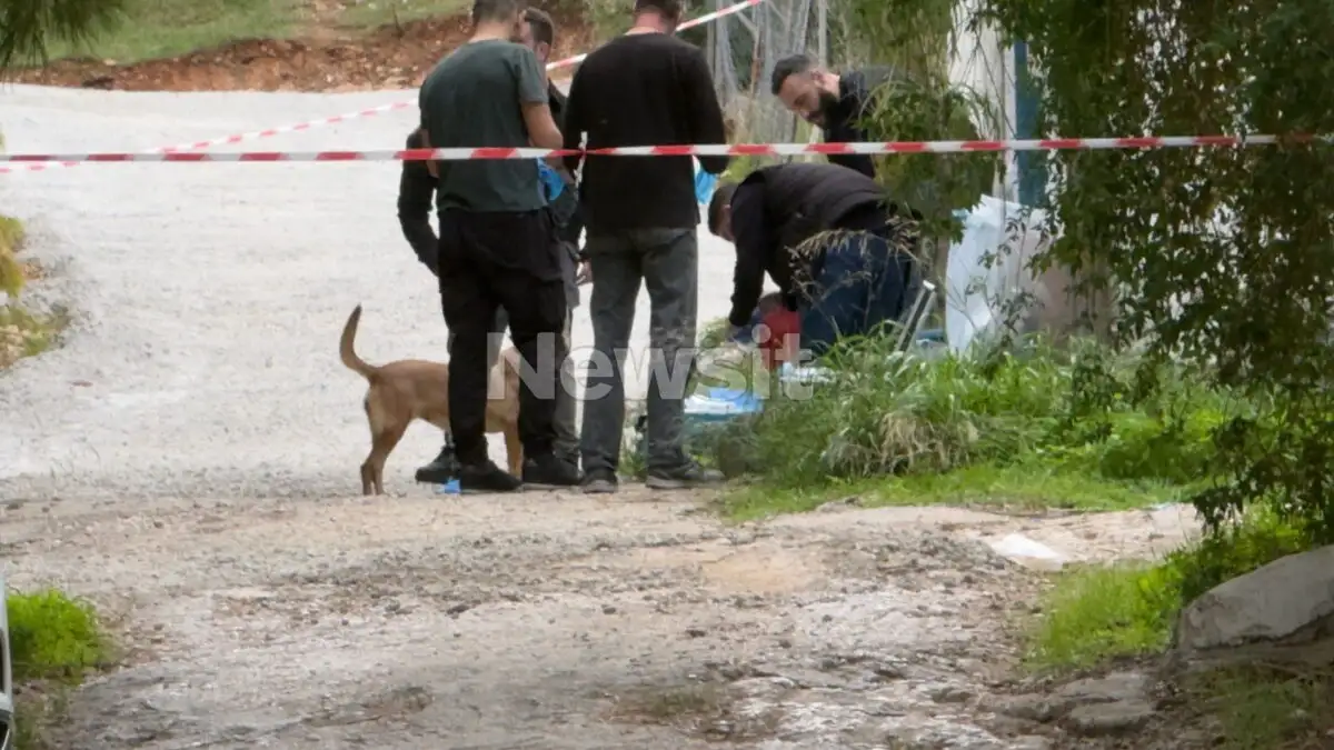 Φρικτή δολοφονία στη Σαλαμίνα: 75χρονη βρέθηκε νεκρή μέσα στο σπίτι της με τραύματα από μαχαίρι
