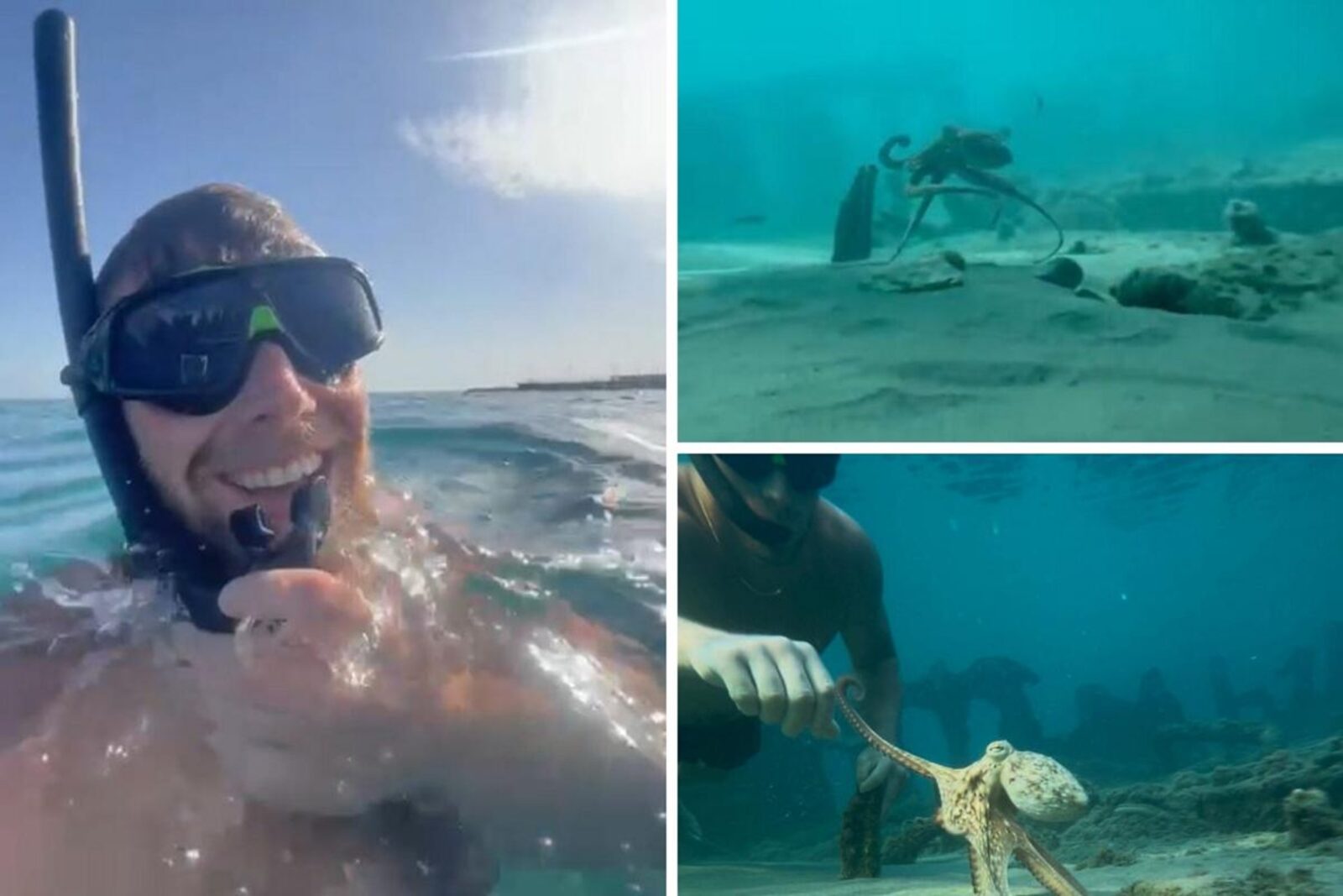 Βρετανός τουρίστας στη Λεμεσό έκανε φιλία με χταπόδι