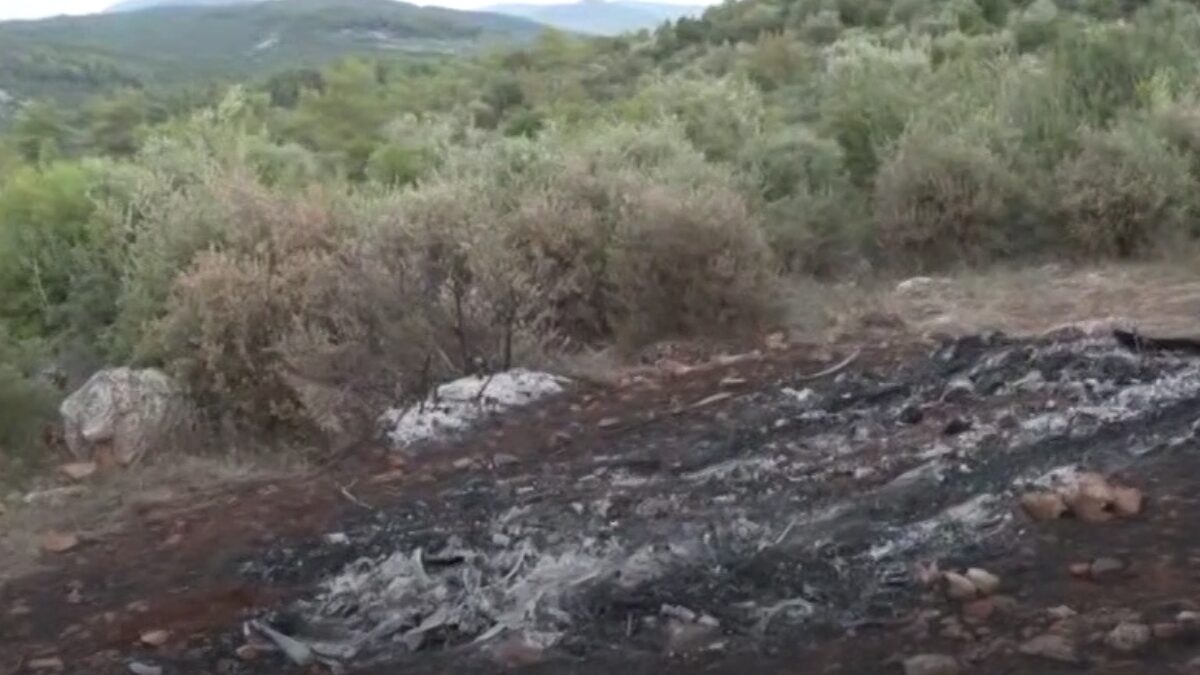 Μυστήριο στη Βοιωτία: Ο άνδρας ήταν δεμένος δύο ημέρες πριν καεί – Πλαστές οι πινακίδες