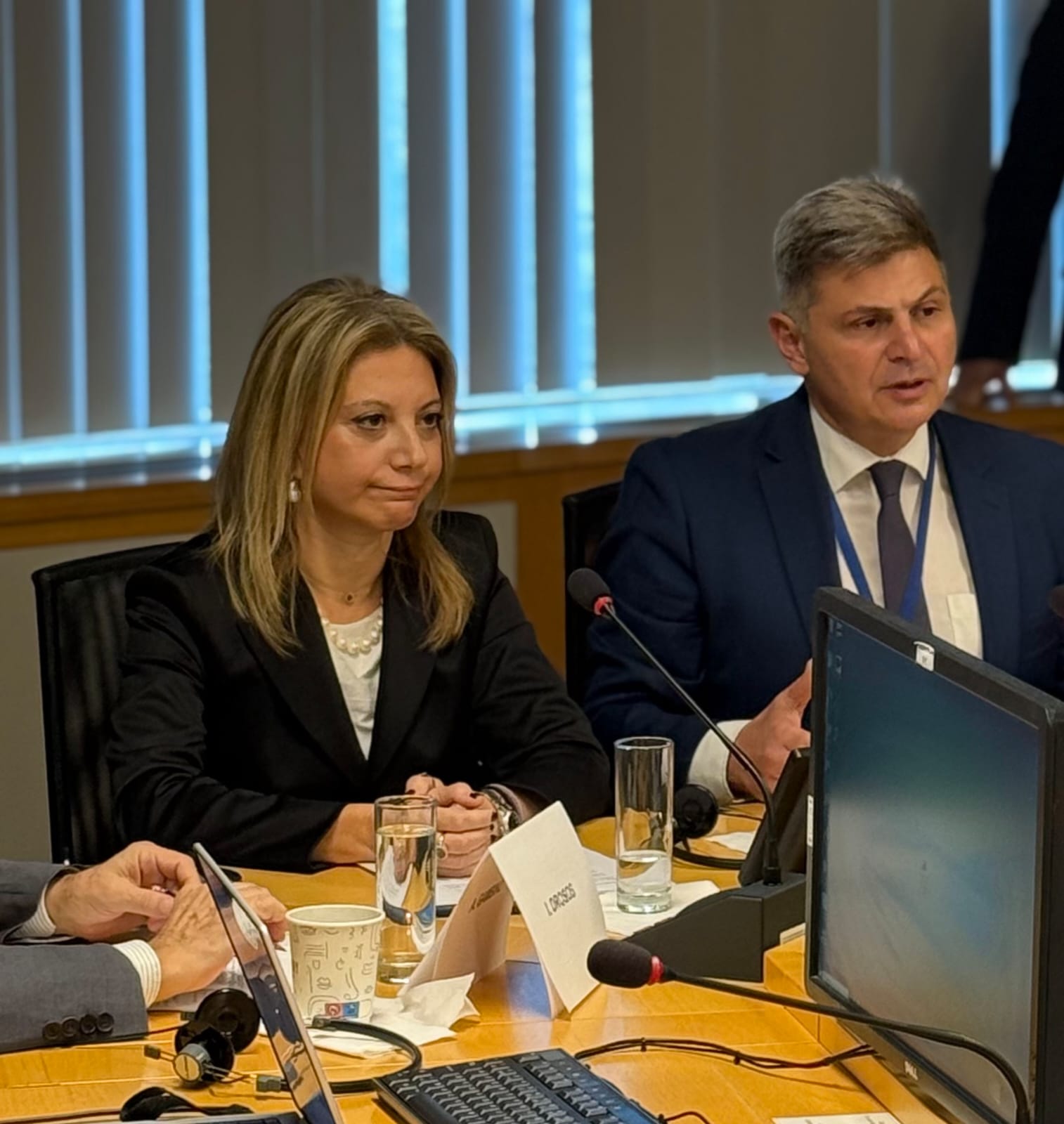 Η Καρυστιανού, το ΣΔΟΕ, οι «σοφοί» του κόμματος και ο Φαραντούρης - του Σωτήρη Μπολάκη