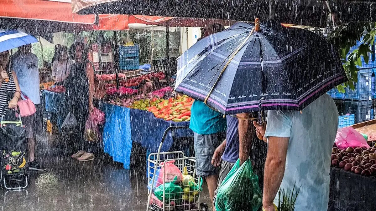 Καιρός: Βροχές και καταιγίδες σε δυτικά και Ιόνιο – Στους 20°C η μέγιστη θερμοκρασία Καιρός: Βροχές και καταιγίδες σε δυτικά και Ιόνιο – Στους 20°C η μέγιστη θερμοκρασία