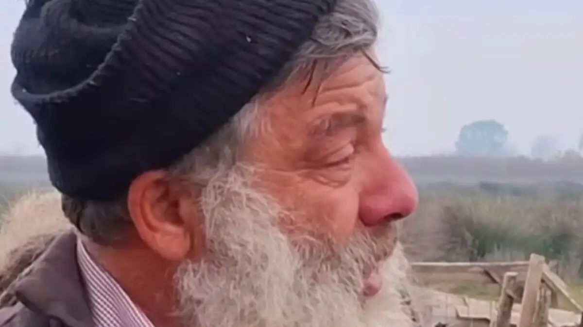 Θανάτωση 450 σπάνιων προβάτων: Παράταση στην αγωνία του κτηνοτρόφου που κατέρρευσε