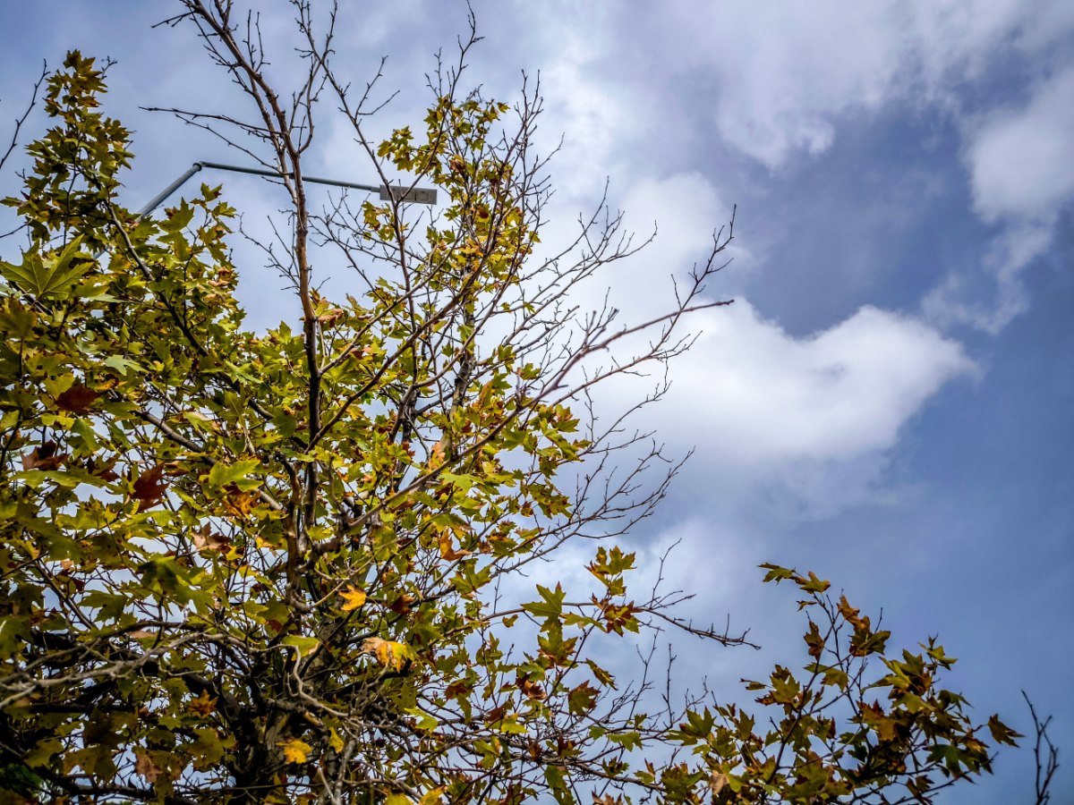 Καιρός σήμερα: Αίθριος στις περισσότερες περιοχές – Τοπικές βροχές σε λίγα σημεία Καιρός σήμερα: Αίθριος στις περισσότερες περιοχές – Τοπικές βροχές σε λίγα σημεία