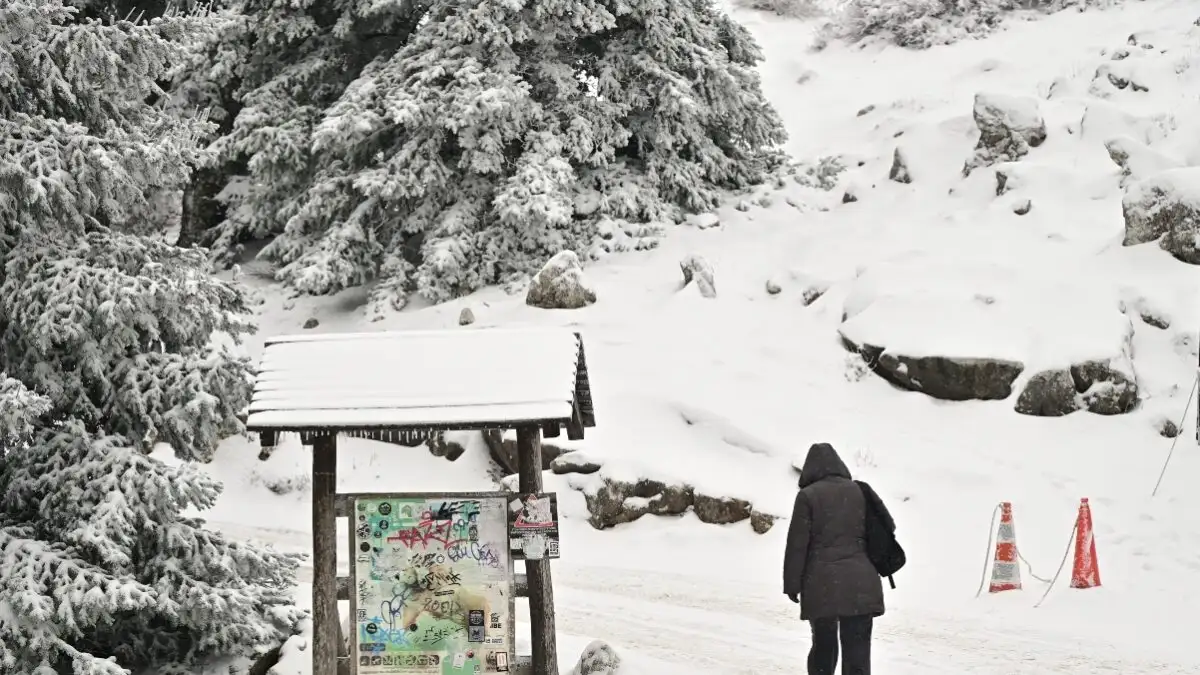 Λευκή Πρωτοχρονιά στον Ορίζοντα: Το Ψύχος Φέρνει Χιόνια και στην Αττική