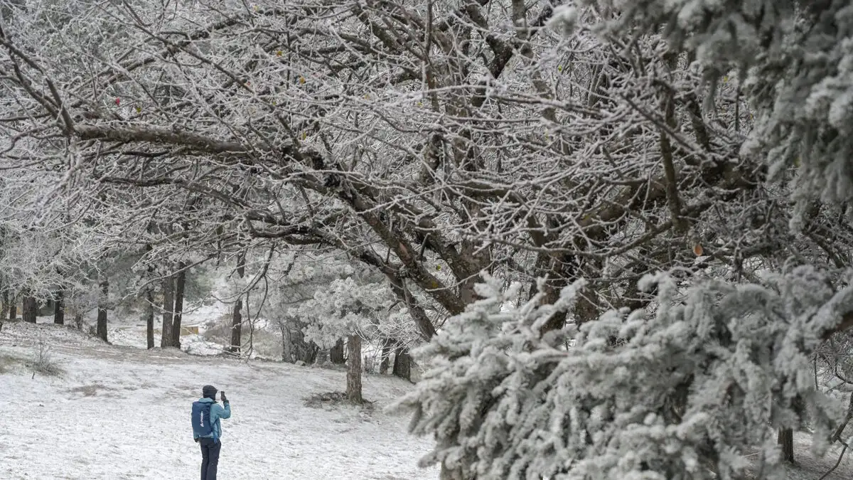 Καιρός – Γιάννης Καλλιάνος: «Έρχεται κρύο με επιλεκτικές και ασθενείς χιονοπτώσεις» – Αιχμές προς άλλους μετεωρολόγους