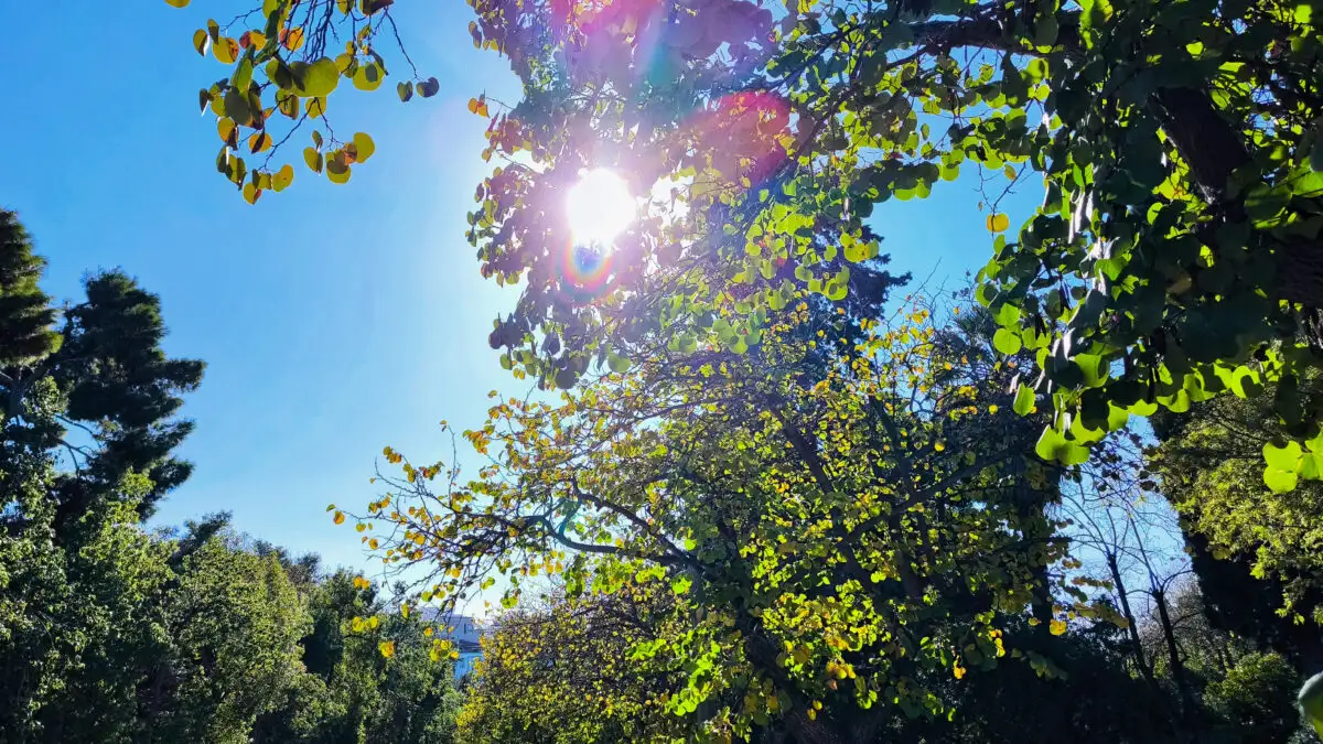 Καιρός: Ανοιξιάτικο σκηνικό σήμερα: Ηλιοφάνεια με παροδικές νεφώσεις και θερμοκρασίες έως 17°C