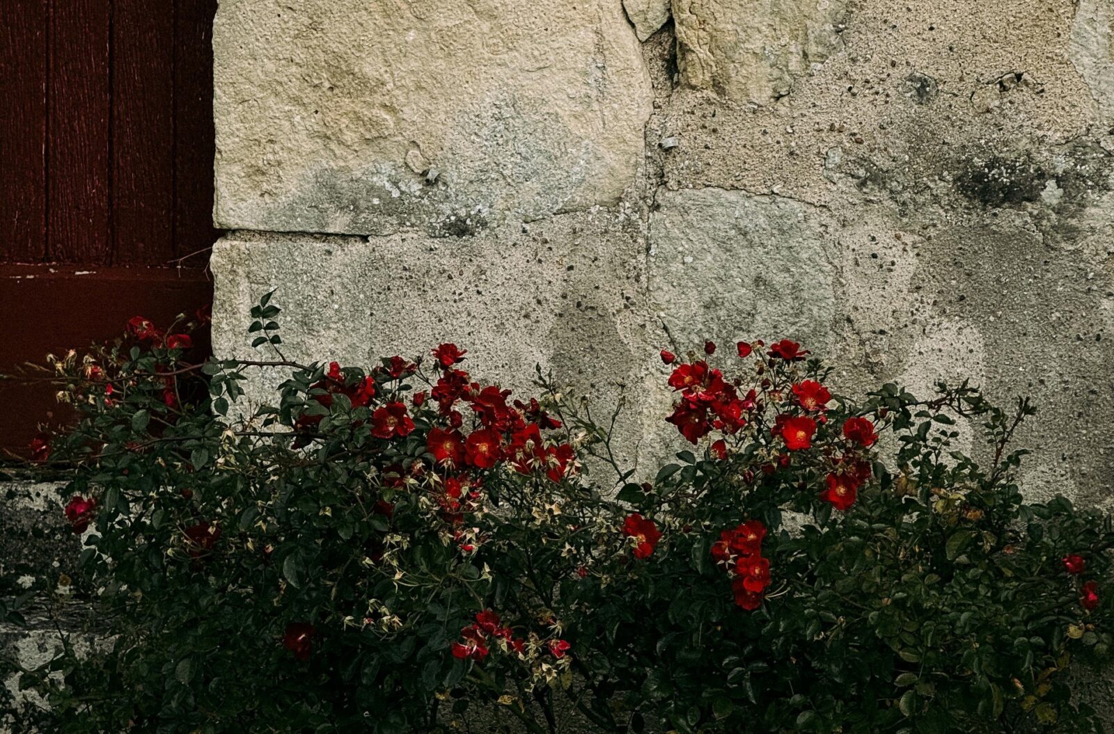 Η κατάρα του Εξ’ Αδιαιρέτου: Η αρχιτεκτονική της ασυνεννοησίας- της Νίκης Καταφελή