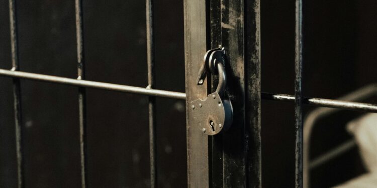 Οι Νύφες του Κορυδαλλού: Ο Έρωτας σε Καθεστώς Επισκεπτηρίου- της Νίκης Καταφελή