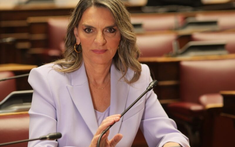 Η Νέα Αριστερά μεγαλώνει στη Βουλή, η Ζωή στις δημοσκοπήσεις – του Σωτήρη Μπολάκη