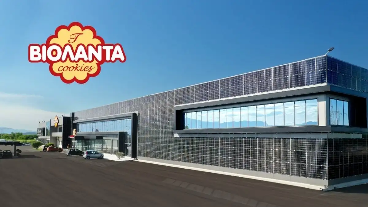 Βιολάντα: Αγώνας για επανεκκίνηση της παραγωγής εν μέσω συνεχιζόμενης αβεβαιότητας