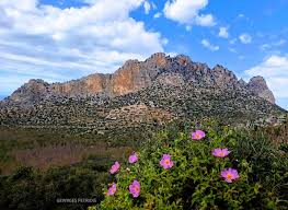 Ο δικός μου πόλεμος 52 χρόνια μετά...- της Μαρίας Ιωάννου Ο δικός μου πόλεμος 52 χρόνια μετά...- της Μαρίας Ιωάννου