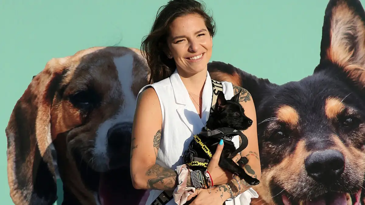 Η Εριέττα Κούρκουλου εκφράζει ανησυχία για τα εγκαταλελειμμένα ζώα στο Ντουμπάι