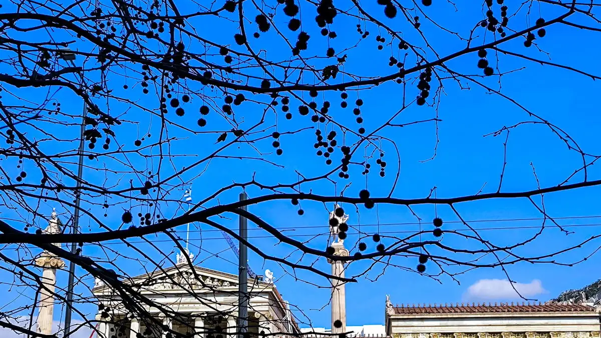 Ήπιος ο καιρός σήμερα – Έως τους 18 βαθμούς η θερμοκρασία