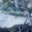 Νεμέα: Θανατηφόρο τροχαίο με νεκρή οδηγό – Πρόσκρουση σε κολώνα