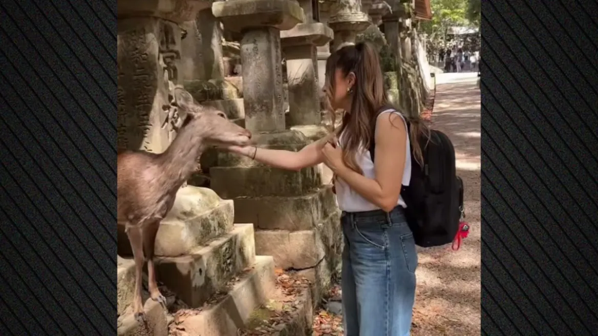 Αποστολία Ζώη: Χάιδεψε ελάφι στην Ιαπωνία και έφυγε… πιο πλούσια συναισθηματικά