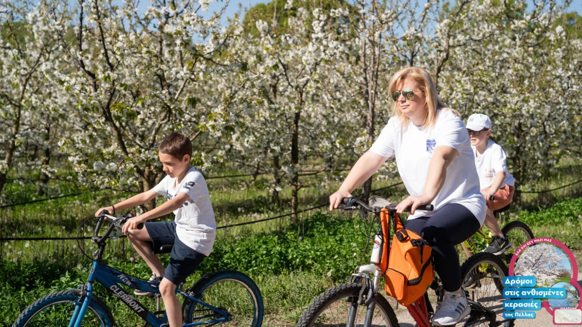 «Όταν ανθίζουν οι κερασιές της Πέλλας 2026»: Μια γιορτή γεύσης και παράδοσης