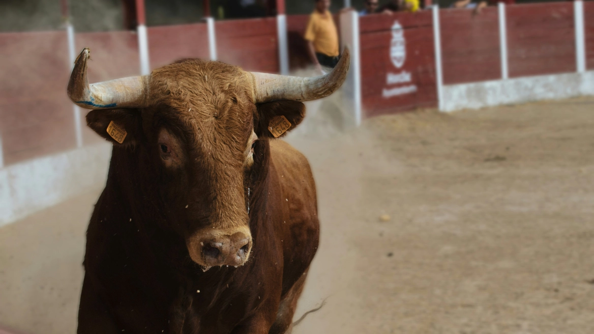 "Ανδαλουσία: Θανατηφόρα επίθεση ταύρου σε 33χρονο ιδιοκτήτη ράντζου"