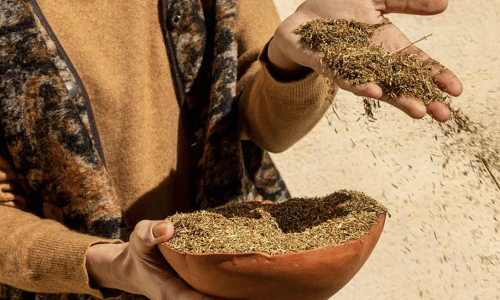 Το βότανο που συμβάλλει στην ανακούφιση από ήπια συμπτώματα κατάθλιψης Το βότανο που συμβάλλει στην ανακούφιση από ήπια συμπτώματα κατάθλιψης