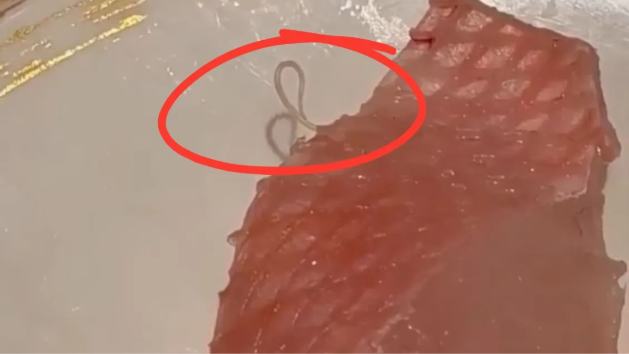 Χονγκ Κονγκ: Ιαπωνική αλυσίδα sushi σε απολογία μετά από βίντεο με παράσιτο σε sashimi- Δείτε video
