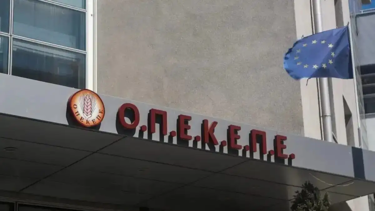Νέα καταδίκη για το σκάνδαλο επιδοτήσεων του ΟΠΕΚΕΠΕ – Ένοχοι 13 κατηγορούμενοι στη Βόρεια Ελλάδα Νέα καταδίκη για το σκάνδαλο επιδοτήσεων του ΟΠΕΚΕΠΕ – Ένοχοι 13 κατηγορούμενοι στη Βόρεια Ελλάδα