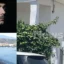 Διπλή δολοφονία στο Αίγιο: «Δεν μιλά καλά ελληνικά» – Τι υποστηρίζει ο δικηγόρος του 65χρονου