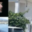 Αίγιο: «DNA-έκπληξη» στα νύχια της 54χρονης – Ανατροπές στο θρίλερ της διπλής δολοφονίας