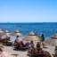 Λαγοκέφαλοι: Γερμανικά ΜΜΕ προειδοποιούν τους τουρίστες που ταξιδεύουν στην Ελλάδα