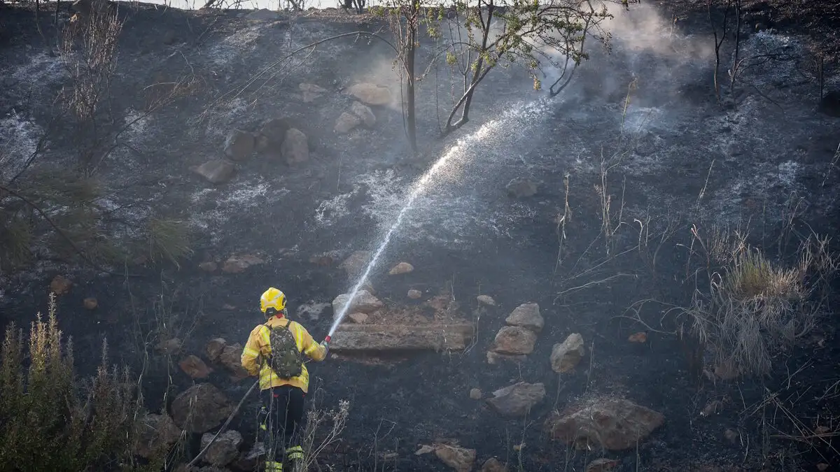 Φωτιά στην Κορινθία: Συνελήφθη 57χρονη για εμπρησμό – Οι περισσότερες πυρκαγιές οφείλονται σε αμέλεια