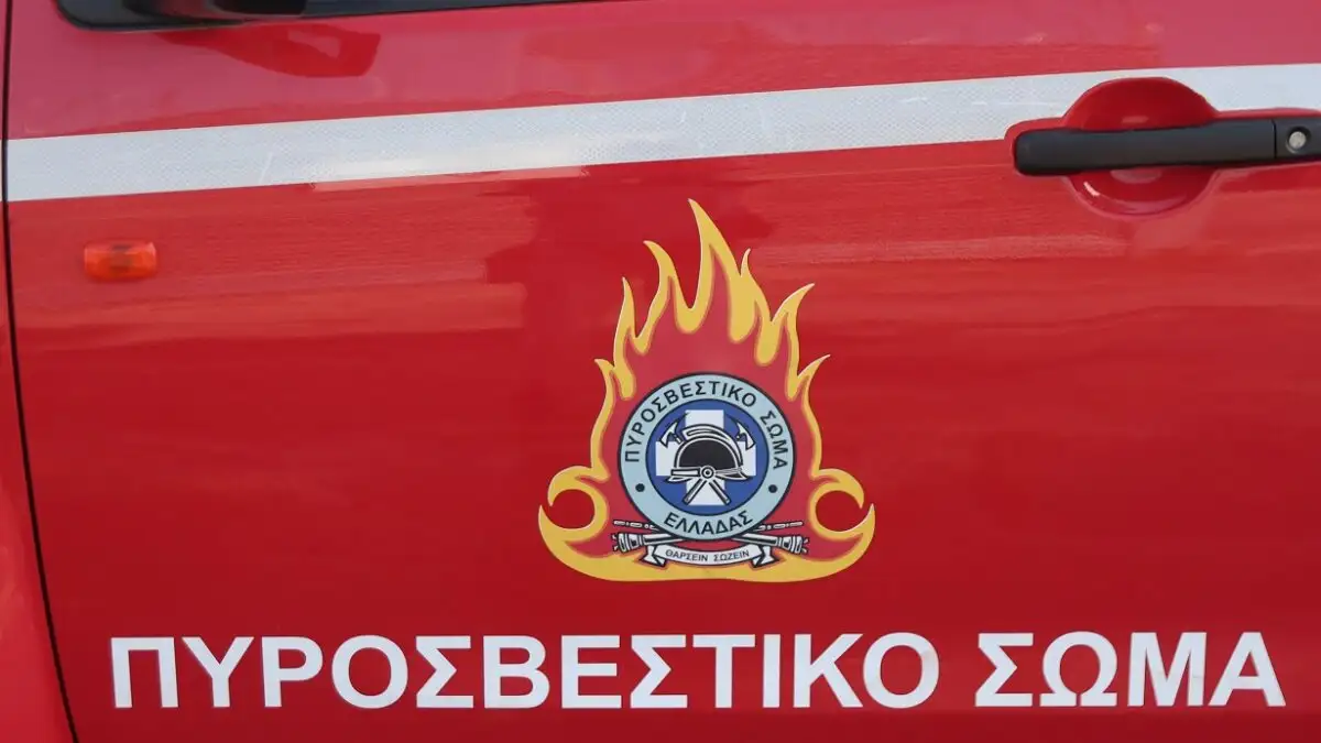 Σαλαμίνα: Φωτιά σε σκάφος σε ναυπηγείο – Μεγάλη κινητοποίηση της Πυροσβεστικής με 25 πυροσβέστες Σαλαμίνα: Φωτιά σε σκάφος σε ναυπηγείο – Μεγάλη κινητοποίηση της Πυροσβεστικής με 25 πυροσβέστες